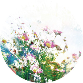 Papier peint intissé auto-adhésif rond Thème Fleurs des champs - 70 x 70 cm