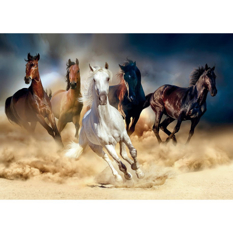 Poster Thème chevaux - 156 x 112 cm