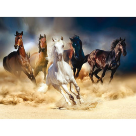 Poster Thème chevaux courent - 360 x 270 cm