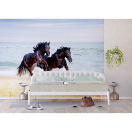 Poster Thème chevaux noirs galopant sur la plage- 360 x 254 cm