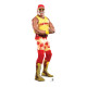 Figurine en carton WWE Hulk Hogan 195 cm