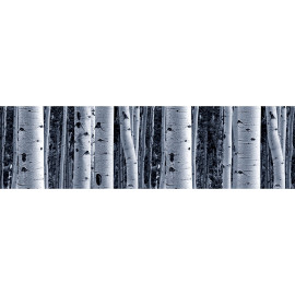 Frise auto-collante Birch - 1 rouleau de 14 cm x 500 cm