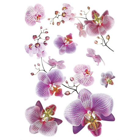 Sticker Orchidées roses et fushia - 1 planche 42,5 x 65 cm