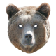 Masque en carton - animal visage ours 27 cm