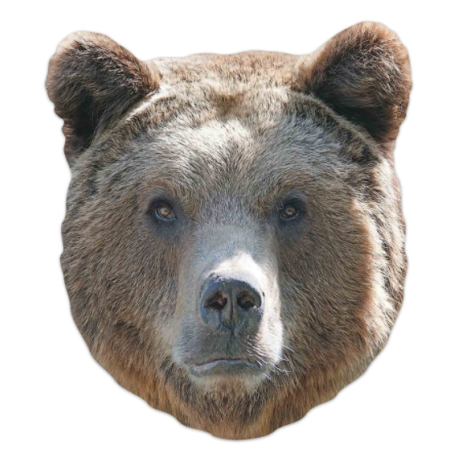 Masque en carton - animal visage ours 27 cm