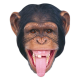 Masque en carton - animal visage chimpanzé 27 cm