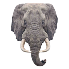 Masque en carton - animal visage éléphant 27 cm
