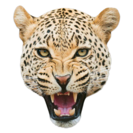 Masque en carton - animal visage léopard 27 cm