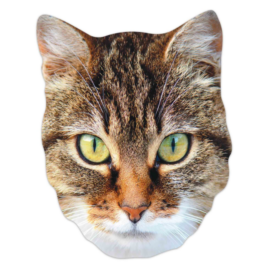 Masque en carton - animal visage chat 27 cm