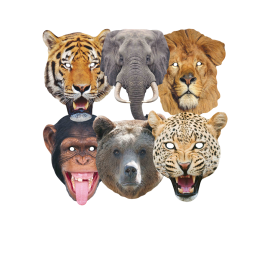 Masque en carton - pack masques 6 animaux 