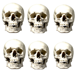 Masque en carton Paquet de 6 visages Halloween Crâne