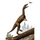 Poster géant intissé Effigia dinosaure - 200 x 280 cm