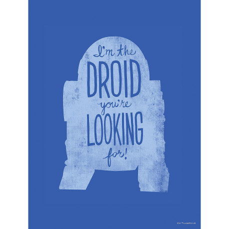 Poster d'Art Star Wars Silhouette R2D2 Citations - 50 x 70 cm