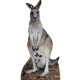 Exemple de vue de dos Figurine en carton taille réelle Le kangourou H 195 CM 