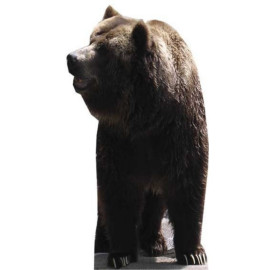 Figurine en carton taille réelle l'ours H 165 CM 