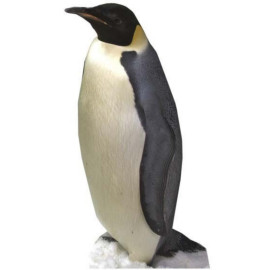 Figurine en carton taille réelle Le pingouin H 86 CM 
