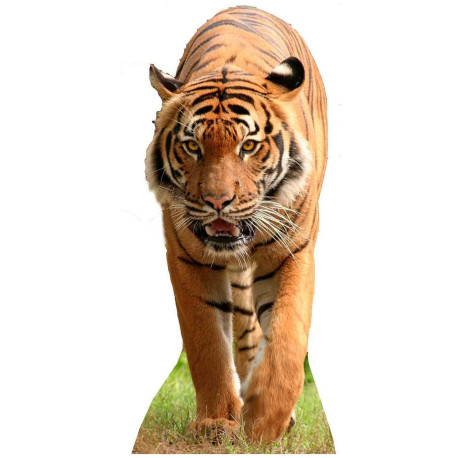 Figurine en carton taille réelle Le Tigre H 130 CM 