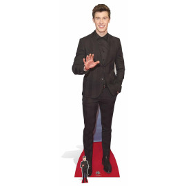 Figurine en carton taille reelle Shawn Mendes 185cm