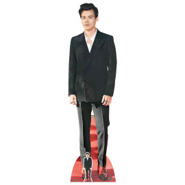 Figurine en carton taille reelle Harry Styles Chaussures rouges 182cm