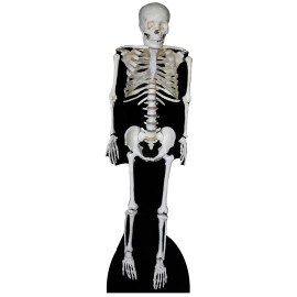 Figurine en carton Squelette 186 cm