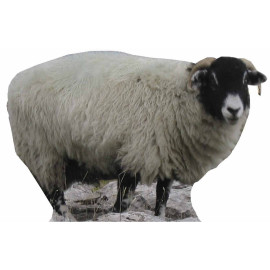 Figurine en carton taille réelle Le mouton H 63 CM 