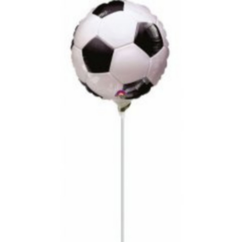 BALLON DE FOOT (Ballon en plastique 23 cm)