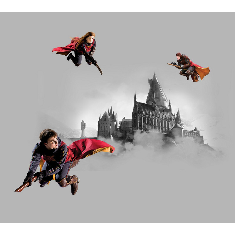 Gobelets Anniversaire Harry Potter – La boutique Aux 2 Balais