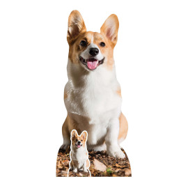 Figurine en carton chien Welsh Corgi Pembroke - Hauteur 76 cm