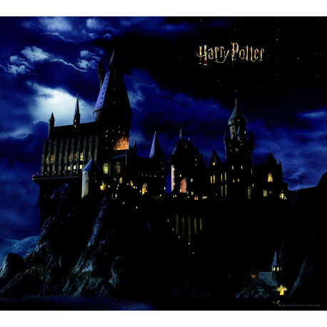 Papier peint Harry Potter 300 x 270 cm