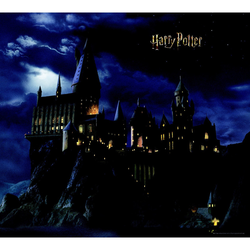 Papier peint Harry Potter sur son balais 225 x 270 cm  Papier peint sur  Papier peint pour enfant sur Déco de Héros