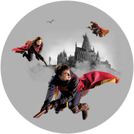 Photo murale ronde Harry Potter sur son balais - 70 x 70 cm