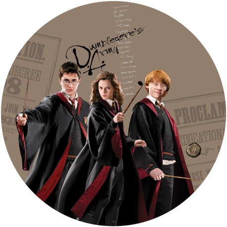 Photo murale ronde Harry Potter et ses amis - Hermione et Ron - 70 x 70 cm