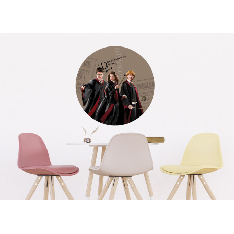 Stickers Muraux Harry Potter Trio Ron Hermione Poudlard Art Pour