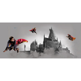 Poster géant horizontal Harry Potter sur son balais 170 x 75 CM