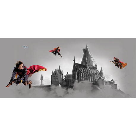 Plaid géant Harry Potter | ToPlaid