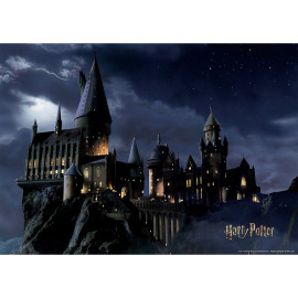 Poster intissé - Harry Potter poudlard dans la nuit - 155 x 110 cm