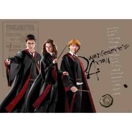 Poster intissé - Harry Potter et ses amis - Hermione et Ron - 155 x 110 cm
