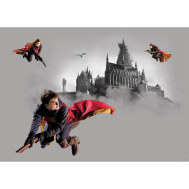 Poster intissé - Harry Potter sur son balais - 155 x 110 cm