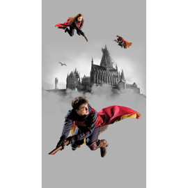 Poster intissé - Harry Potter sur son balais - 150 x 270 cm