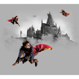 Poster intissé - Harry Potter sur son balais - 300 x 270 cm