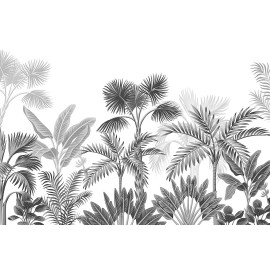 Poster Thème palmier noir et blanc - 360 x 254 cm