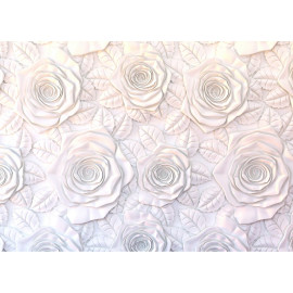 Poster Thème roses blanches - 360 x 254 cm