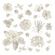 Stickers fleurs blanches - 1 planche 30x30cm