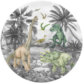 Photo murale ronde dinosaure en noir et blanc - 70 x 70 cm