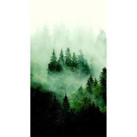 Poster intissé - foret sombre avec brouillard - 150 x 270 cm
