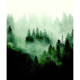 Papier peint foret Arbre et brouillard 225 x 270 cm