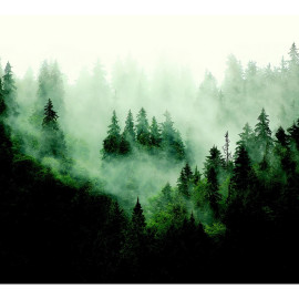 Papier peint foret d'arbre avec brouillard 225 x 270 cm