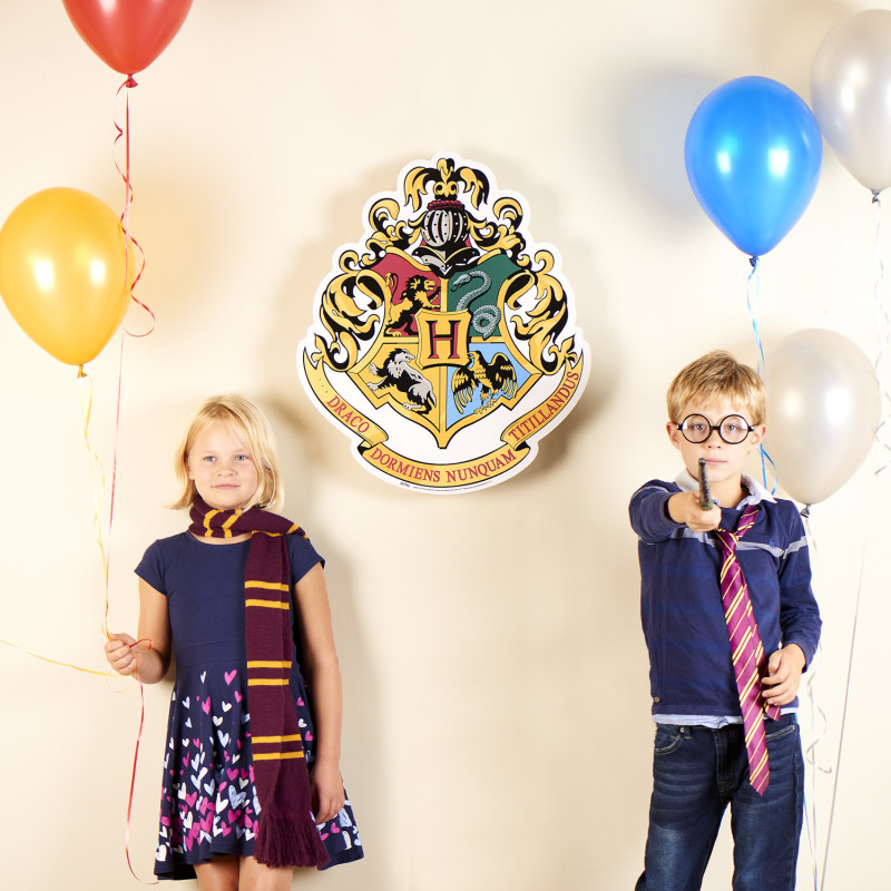 Blason en carton Maison Serpentard Poudlard Harry Potter 61X51 CM   Figurine en carton sur Anniversaire et fête chez Déco de Héros