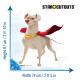 Figurine en carton Superman's Dog - Krypto le Superchien - Krypto et les Super-Animaux - Hauteur 87 cm