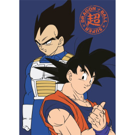 Plaid Dragon Ball Z - Son Goku et Vegeta